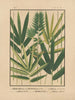 the Japanese bamboo icons Pl06 - Yasuyoshi Shirasawa — artwork view
