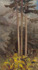 Épicéas - Zolo Palugyay — artwork view