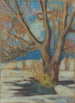 Study of a bare tree in winter - Zolo Palugyay — artwork view