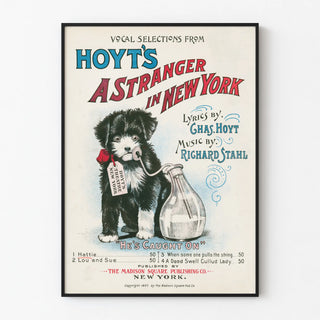 a-stranger-in-new-york