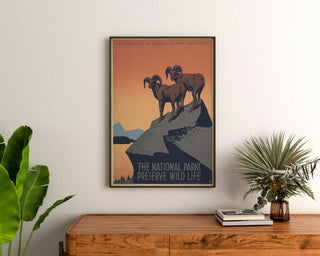 Vintage National Parks "Preserve Wild Life" poster, framed above a wooden sideboard, between plants.