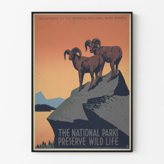 Vintage National Parks "Preserve Wild Life" poster, shown in a thin frame on a light wall.