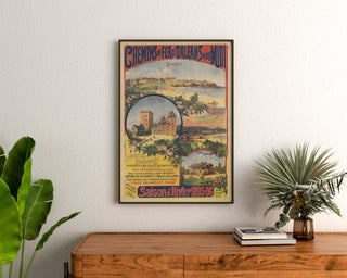 Vintageposter Pyrénées et Gascogne, winterseizoen, ingelijst boven een houten ladekast tussen planten.