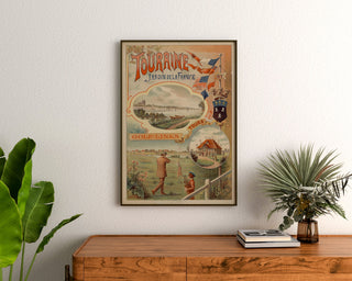 Vintage poster Touraine, tuin van Frankrijk, ingelijst boven een houten ladekast, tussen planten.