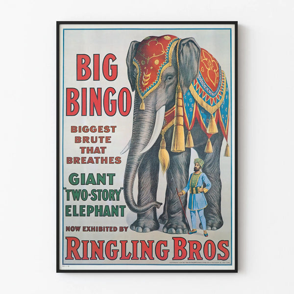 big-bingo