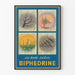 Vintage poster BIPHEDRINE seizoenskalender