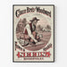 Vintage Poster Chase Bros and Woodward Flower and Vegetable Seeds