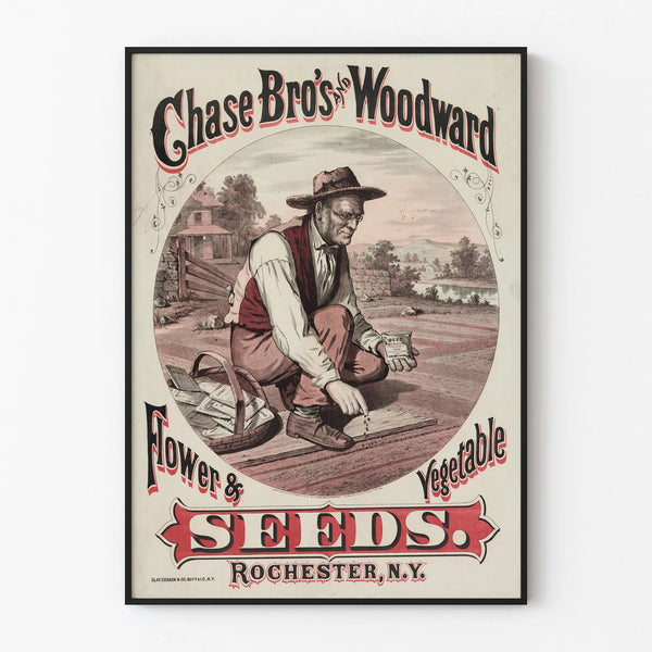 chase-bros-and-woodward-flower-vegetable-seeds