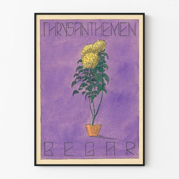 chrysanthemen-begar