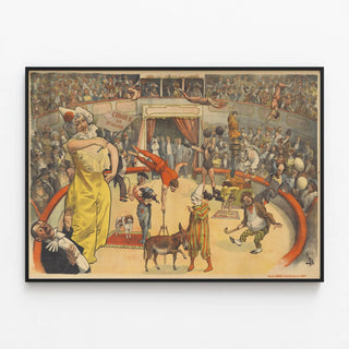 cirque-de-jonghe