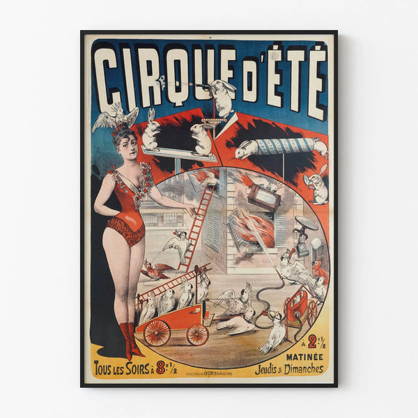 cirque-dete-tous-les-soirs