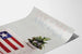 Vintage poster Discover America Worldnet televisie vlag