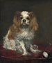 Een King Charles Cavalier Spaniël - Édouard Manet — weergave van het kunstwerk