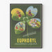 Vintage Poster Euphoryl Desensibilisatie Veelzijdig