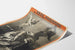 Vintage Poster Parisian Festival for Cholera Victims