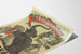 Folies Bergère Poster The Elephants Sir Edmunds