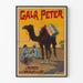 Vintage poster Gala Peter Milk Chocolates with camel