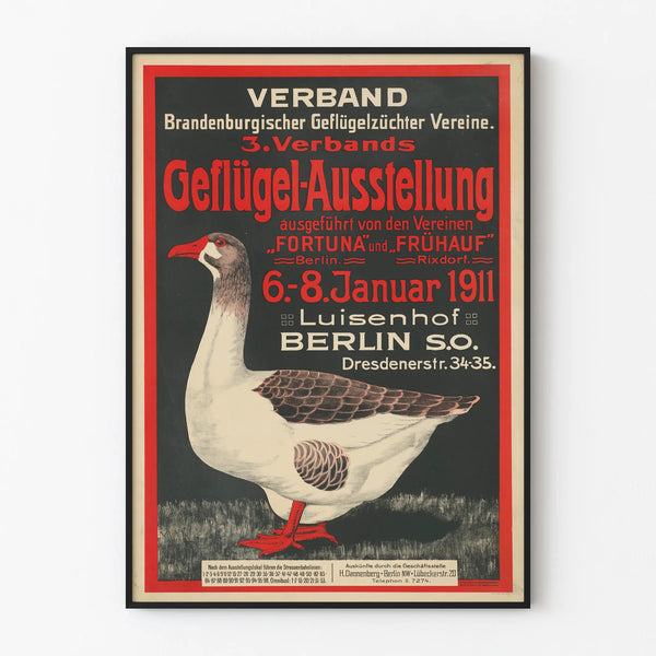 geflugel-ausstellung-verband-brandenburgischer-geflugelzuchter-vereine