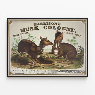 harrisons-musk-cologne-philadelphia