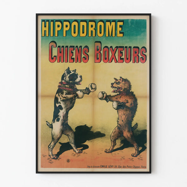 hippodrome-chiens-boxeurs