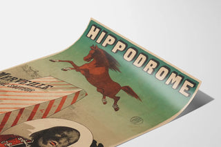 hippodrome-merveille-cheval-sauteur-lhomme-ours