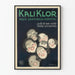 Vintage poster Kali Klor Perfecte Tandpasta