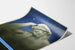 Decoratief poster La Nuit – Detail van het graf van Giuliano de’ Medici