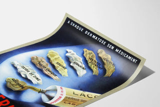 laccodermes-2