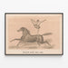 Vintage poster of an acrobat artist on a moving horse — framed artwork on a wall