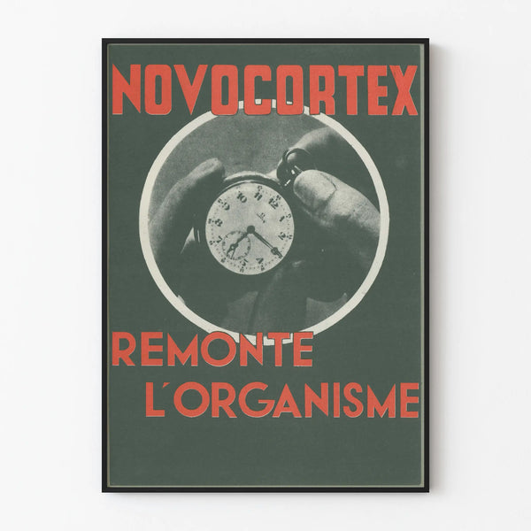 novocortex-2