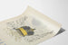 Vintage poster Obesity drawing of a carriage on a cobbled street