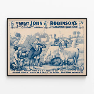 our-general-foreign-agent-mr-g-n-robinson-purchasing-a-drove-of-black-white-llamas