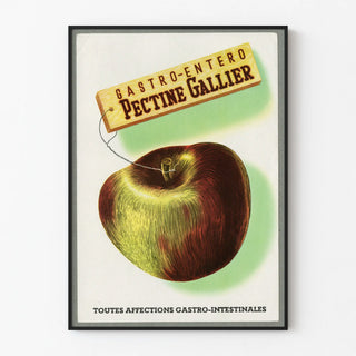 pectine-gallier