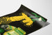 Vintage reclameposter Phytojava Natuurgeneeskunde