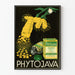 Vintage reclameposter Phytojava Natuurgeneeskunde