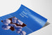 Vintage medische poster Bloedplaatjestransfusietherapie