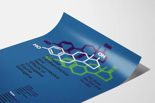 potential-cardioprotective-and-neuroprotective-effects-of-conjugated-equine-estrogens