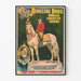 Vintage Poster Ringling Bros - Silver King Horse ridden by John O'Brien