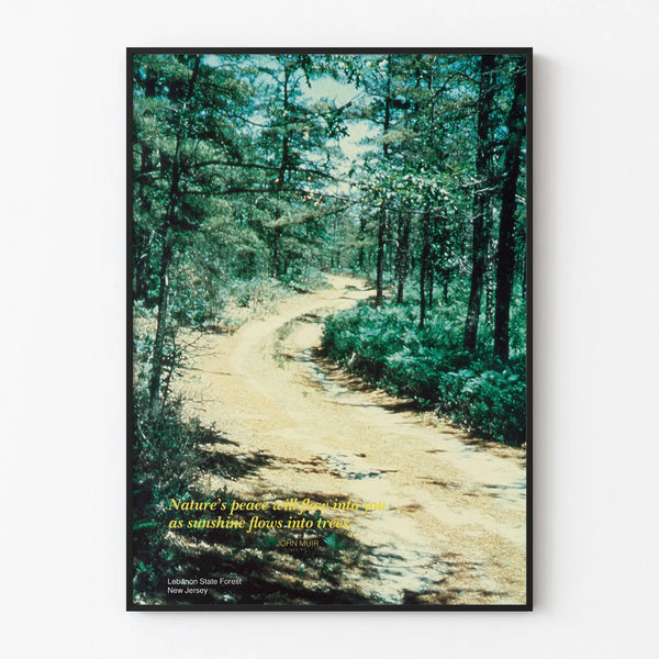 scenically-yours-natures-peace-will-flow-into-you-as-sunshine-flows-into-trees-lebanon-state-forest-new-jersey