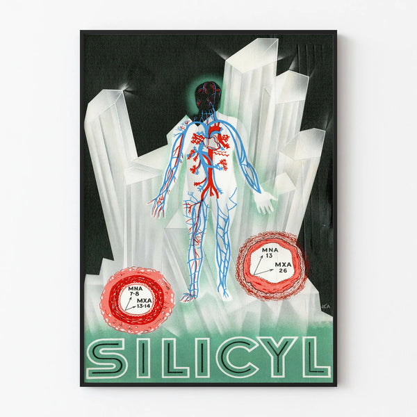 silicyl