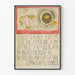 Botanical illustration poster and classical calligraphy