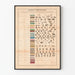 Vintage Geological and Fossil Chronological Painting