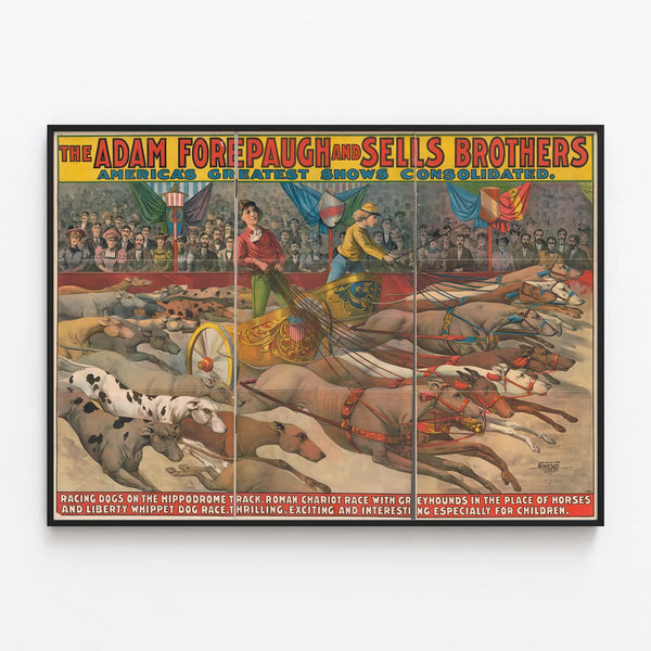 the-adam-forepaugh-and-sells-brothers-americas-greatest-shows-combined-racing-dogs-on-the-hippodrome-track