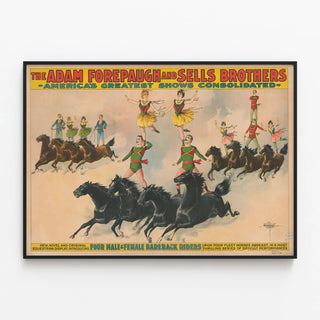 the-adam-forepaugh-sells-brothers-americas-greatest-shows-consolidated-four-male-and-female-bareback-riders