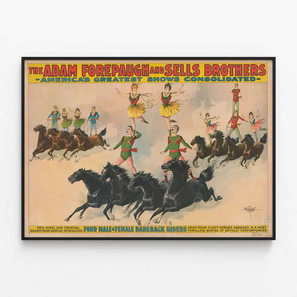the-adam-forepaugh-sells-brothers-americas-greatest-shows-consolidated-four-male-and-female-bareback-riders