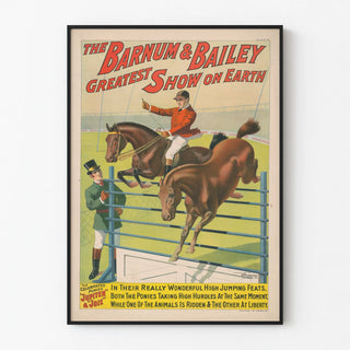 the-barnum-bailey-greatest-show-on-earth-the-celebrated-ponies-jupiter-joie