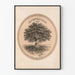 Vintage Poster of the Historical Tree The Century Plant 1876