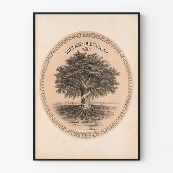 the-century-plant-1876