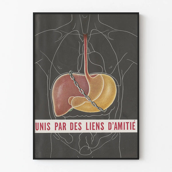 unis-par-des-liens-damitie