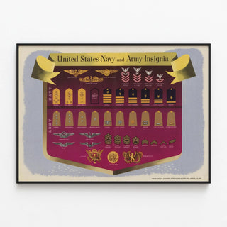 united-states-navy-and-army-insignia